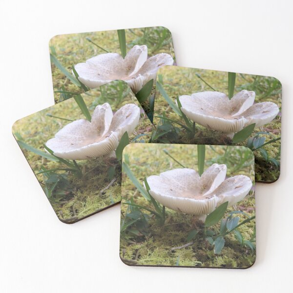 Item preview, Mushroom splitting top in moss designed and sold by VondasCreations.