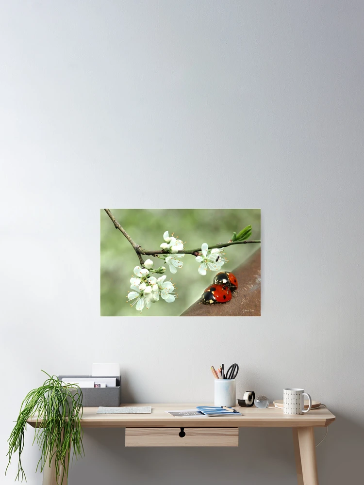 Thumbnail 2 of 3, Poster, Spring designed and sold by Gilberte.