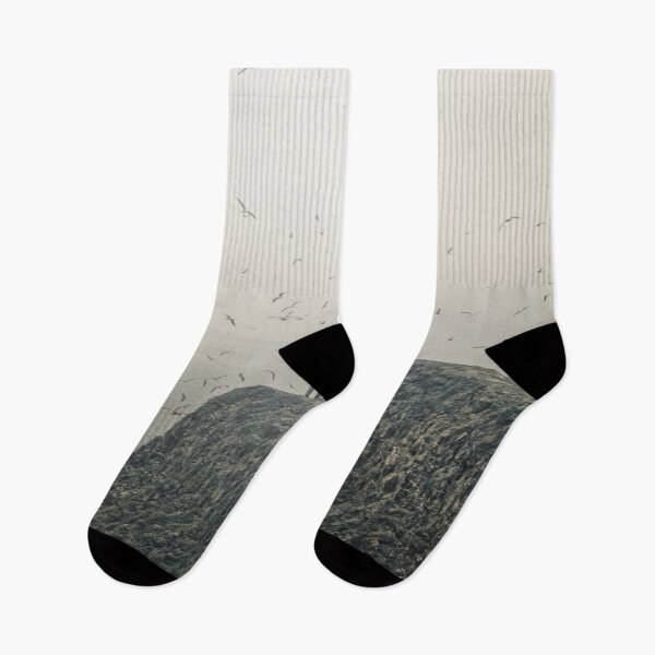 Item preview,  Seagulls. Anacapa Island Inspiration Point. designed and sold by Alex Preiss.