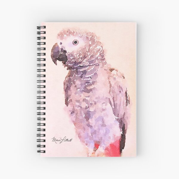 Artikel-Vorschau von Graupapagei-Aquarell-Malerei, Giclée-Kunstdruck, Haustierporträt, Wanddekoration, Tiermalerei, Grauer Vogel, Grauer Vogel, Vogelkunst, designt und verkauft von littrellart.