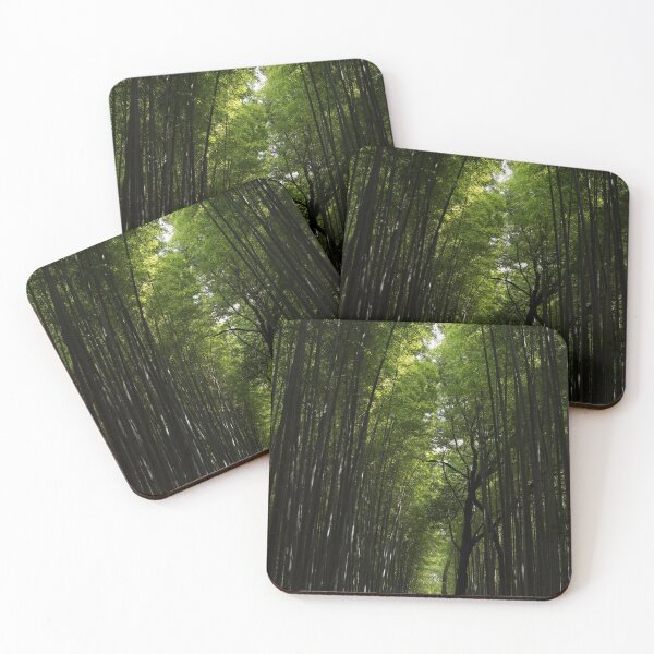 Item preview, Arashiyama Bamboo Forest designed and sold by StryderHiryu.