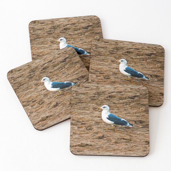 Item preview, Seagull at the beach going for a walk designed and sold by worldways.