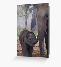Mother and Babe Greeting Card