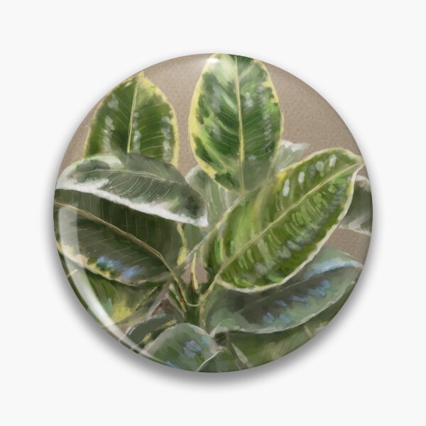 Item preview, Varigated Rubber Plant - Ficus elastica tineke designed and sold by Jennie Kessinger.