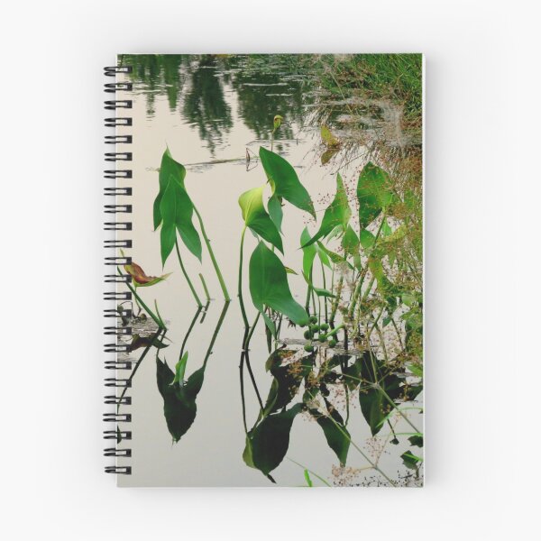Item preview, Irrigation Reflections designed and sold by Diane Arndt.