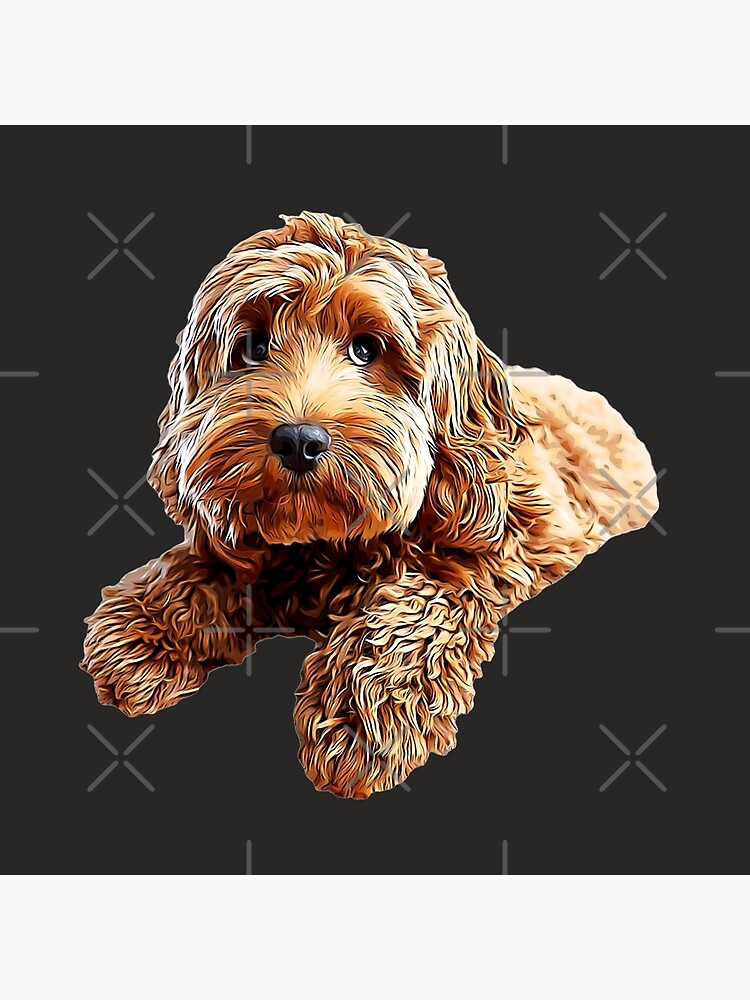 Doodle Cockerpoo Cockapoo Spoodle Cute Puppy Dog by Elarex