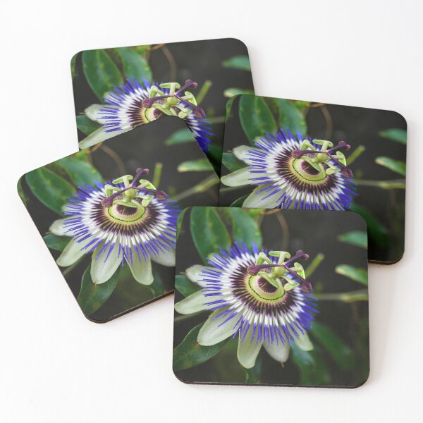 Item preview, Passion Flower  designed and sold by Alisonchambers2.