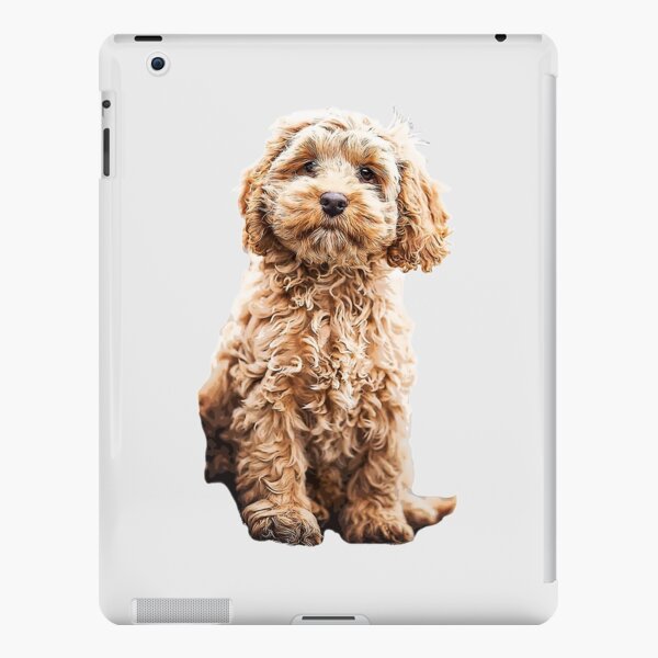 Cockapoo Cavoodle Labradoodle Cute Puppy Dog- Poodle x iPad Snap Case