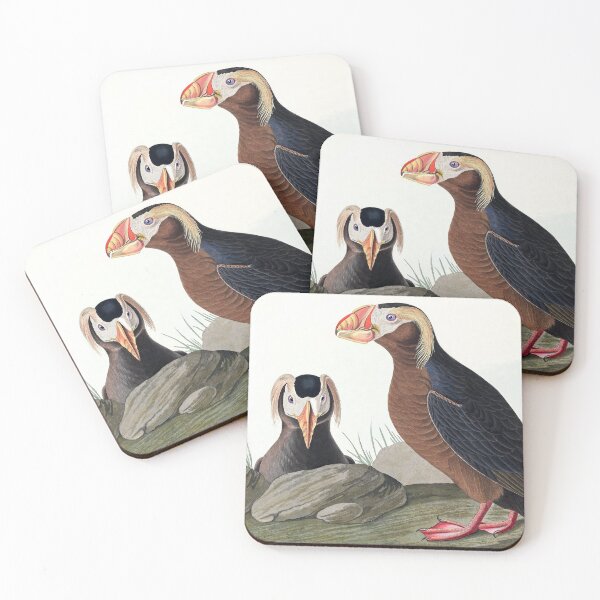 Item preview, Tufted Puffins by John James Audubon designed and sold by TheCurators.