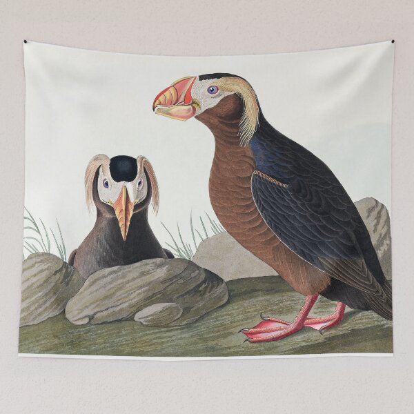 Item preview, Tufted Puffins by John James Audubon designed and sold by TheCurators.