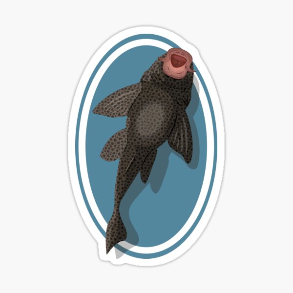 Vista previa del artículo con la obra «Pleco sobre vidrio», diseñado y vendido por WetFins.