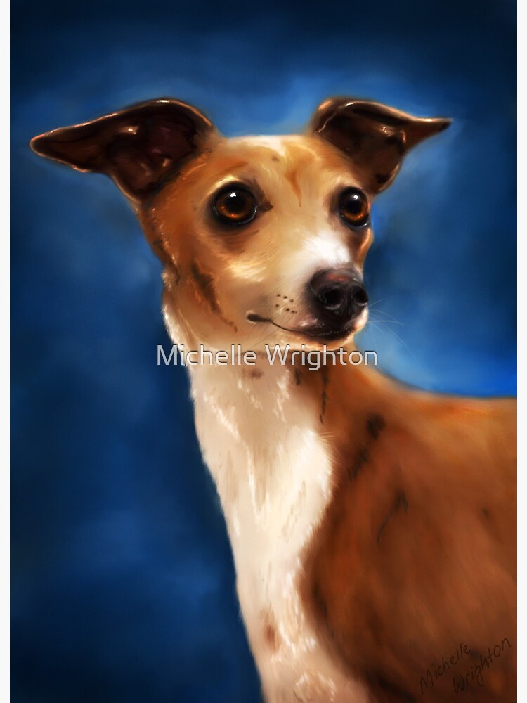 Italian Greyhound T-Shirts for Sale - Fine Art America