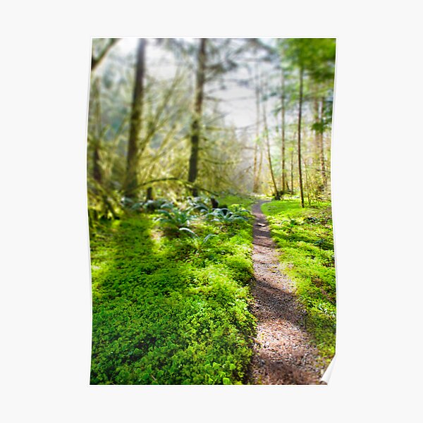 Surreal Trail Poster