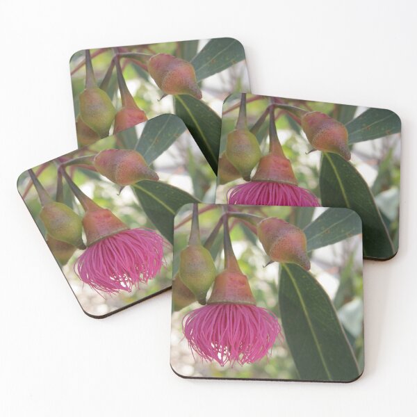 Item preview, Gumnut Blossom designed and sold by Honey Myrtle Studio.