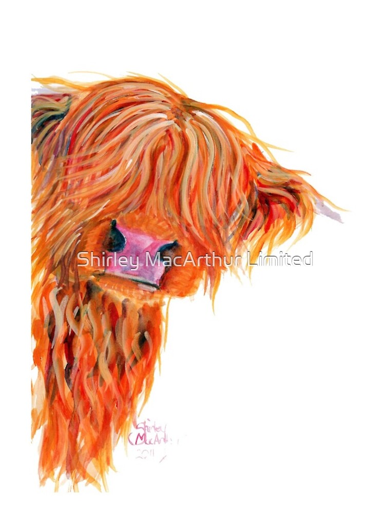 HIGHLAND COW 'PEEKABOO' BY SHIRLEY MACARTHUR by ShirleyMacA