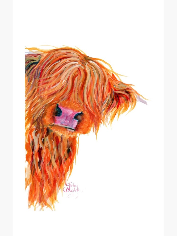 HIGHLAND COW 'PEEKABOO' BY SHIRLEY MACARTHUR by ShirleyMacA