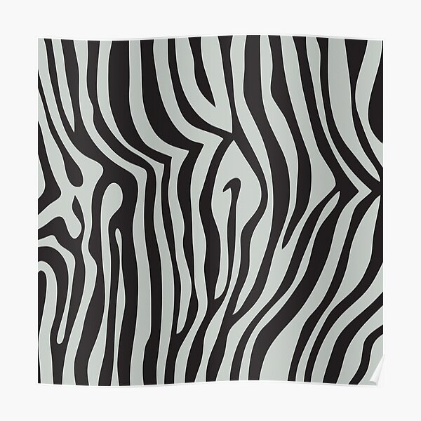 Poster Zebra Tapete Redbubble