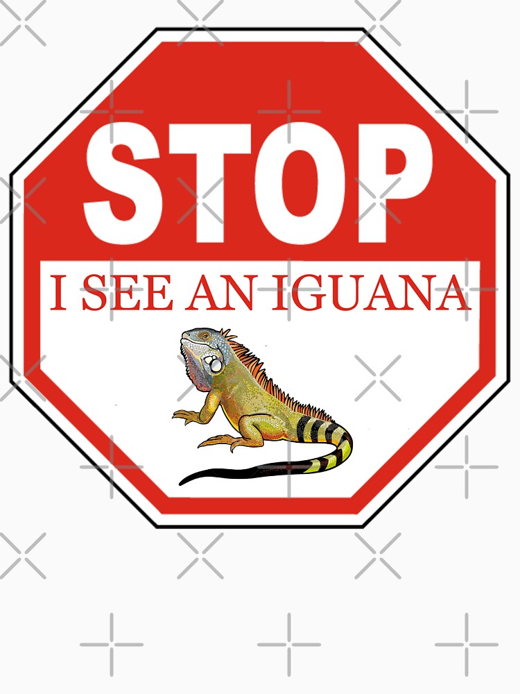 Stop I See a Green Iguana in the Florida Keys by KeysTreasures