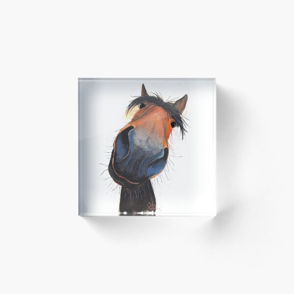 HORSE PRiNT 'HAPPY DAVE' BY SHIRLEY MACARTHUR Acrylic Block