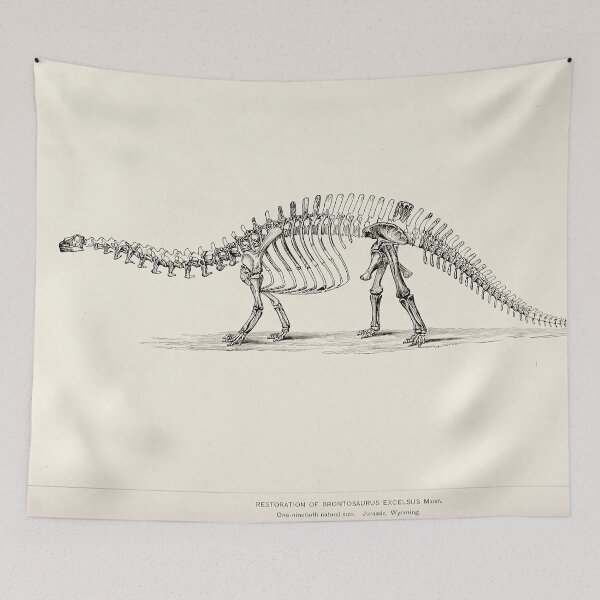 Item preview, Vintage dinosaur print - Brontosaurus excelsus designed and sold by Gardenlibrary.