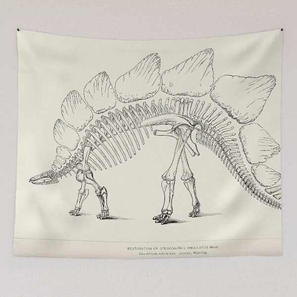 Item preview, Vintage dinosaur print - Stegosaurus ungulatus designed and sold by Gardenlibrary.