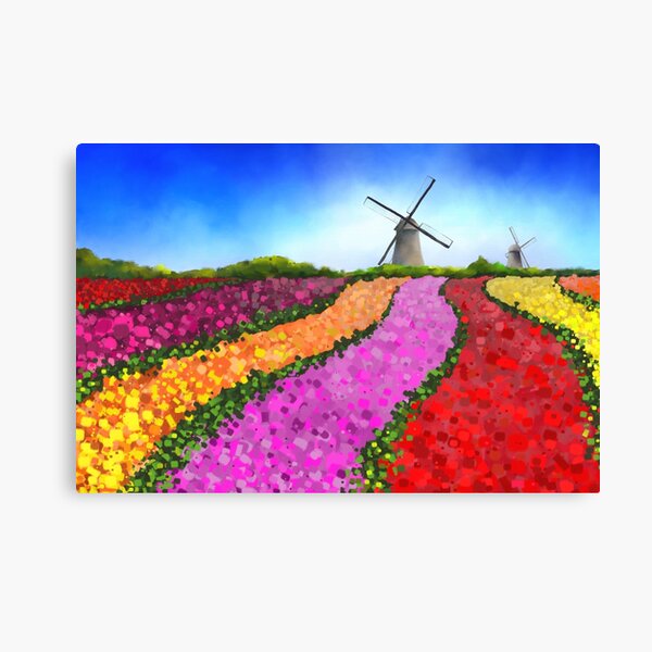 Colorful Dutch Tulip Fields with two Windmills Canvas Print