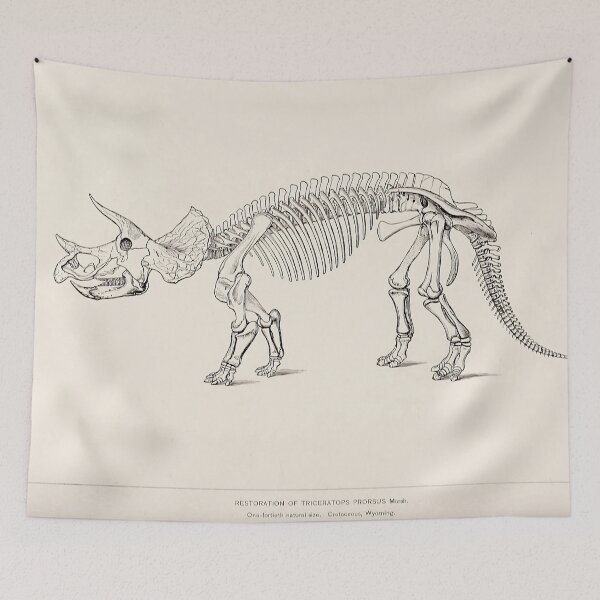 Item preview, Vintage dinosaur print - Tricerarops prorsus designed and sold by Gardenlibrary.