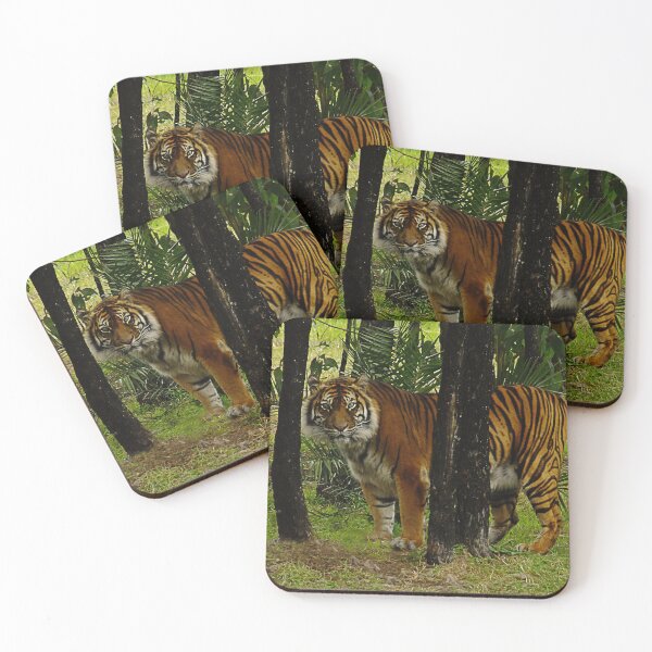 Item preview, Tiger Territory designed and sold by JuliaKHarwood.