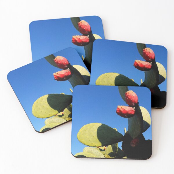 Item preview, Cactus designed and sold by JCis1WTL.