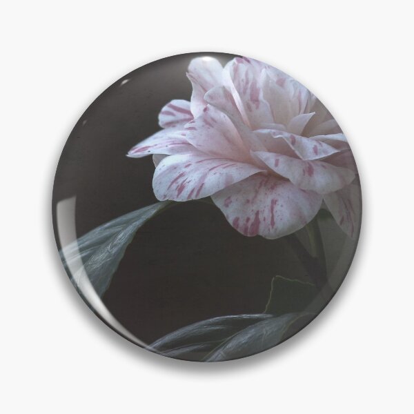 Item preview, Camellia in pastels designed and sold by elvines.