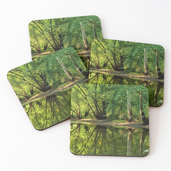 Item preview, Considene Reflections Panorama designed and sold by LynyrdSky.