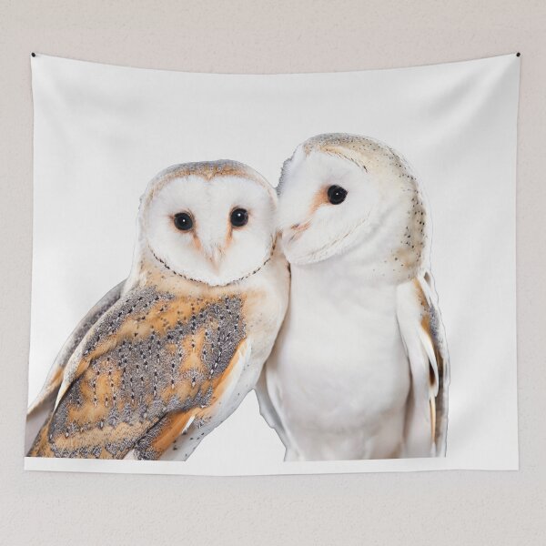 Item preview, Pair of White Owls designed and sold by inquestyle.