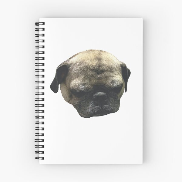 Item preview, Old Sleeping Pug  designed and sold by MagicMullet.