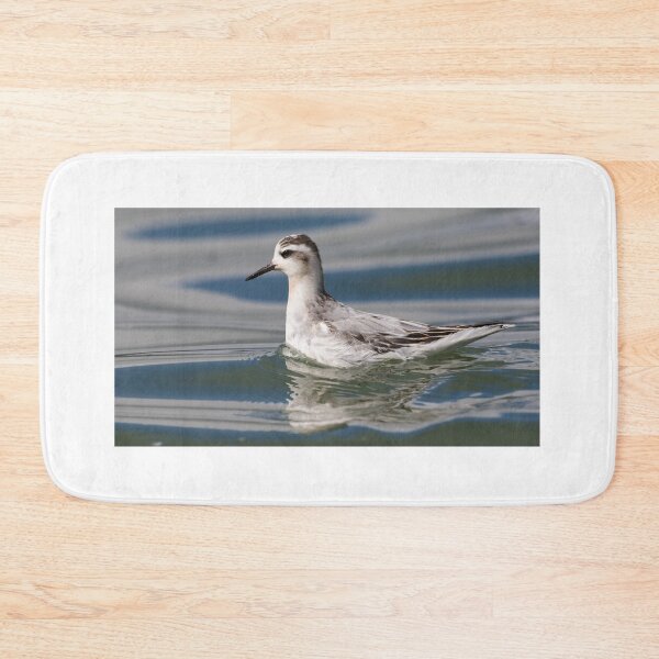 Item preview, Grey Phalarope designed and sold by LaurenTucker.