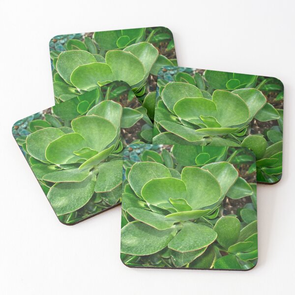 Item preview, Succulent designed and sold by Fran Woods.