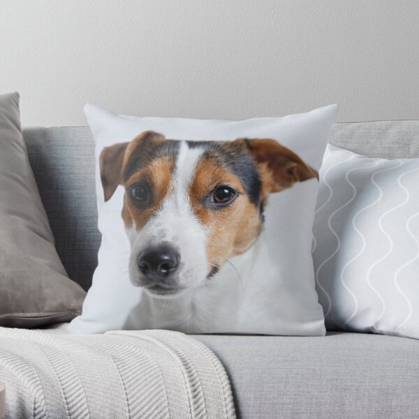 Jack russell deals pillow