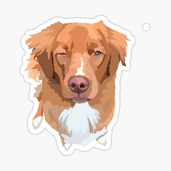Item preview, Toller Dog Portrait Digital Illustration designed and sold by sherylwylie.