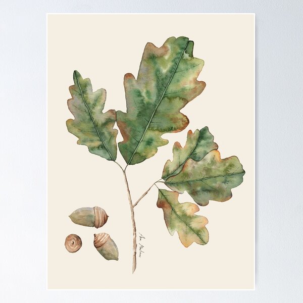 Item preview, Oak leaves and acorns designed and sold by Elbuenlimon.