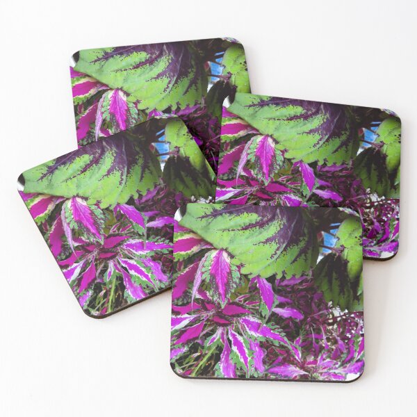 Item preview, Colorful Plant Leaves  designed and sold by Lisa Casineau.