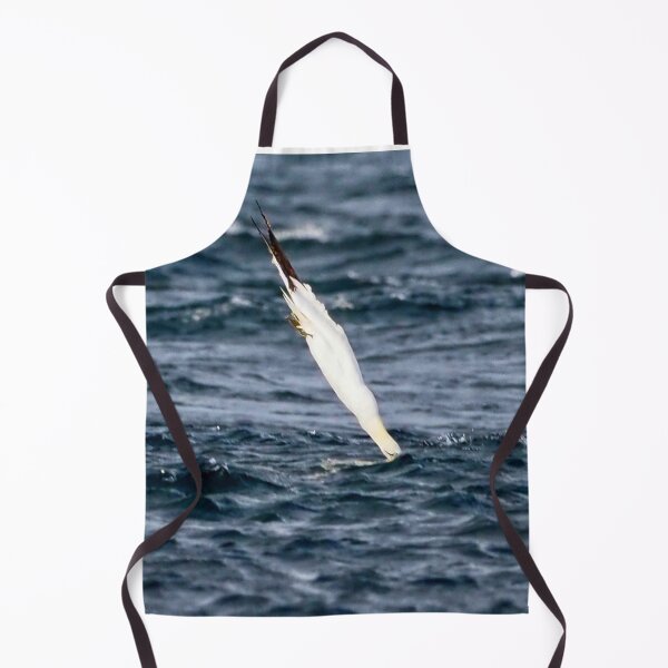 Item preview, A gannet at Cantick Head on Hoy designed and sold by Alan Mackinnon.
