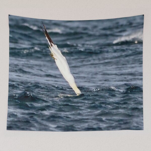 Item preview, A gannet at Cantick Head on Hoy designed and sold by Alan Mackinnon.
