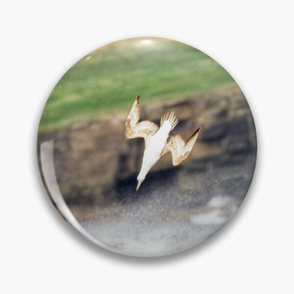 Item preview, A gannet at Cantick Head on Hoy designed and sold by Alan Mackinnon.