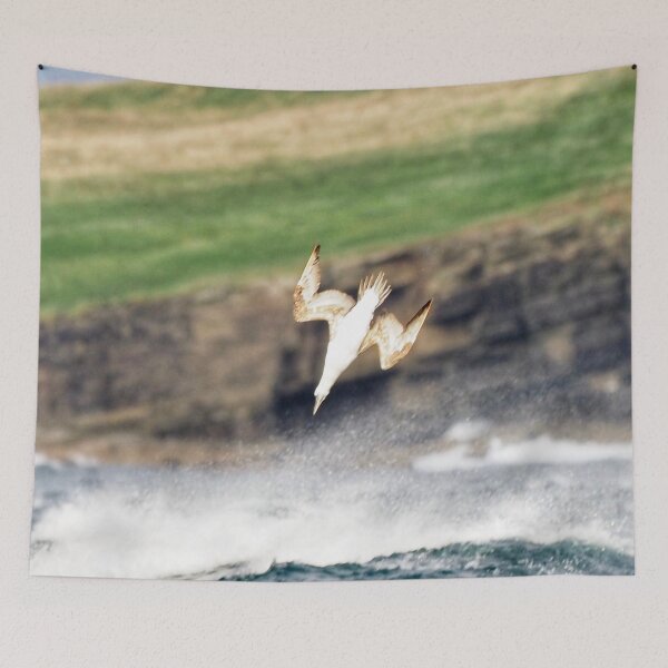 Item preview, A gannet at Cantick Head on Hoy designed and sold by Alan Mackinnon.