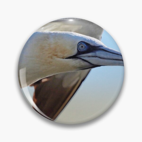 Item preview, A gannet at Cantick Head on Hoy designed and sold by Alan Mackinnon.