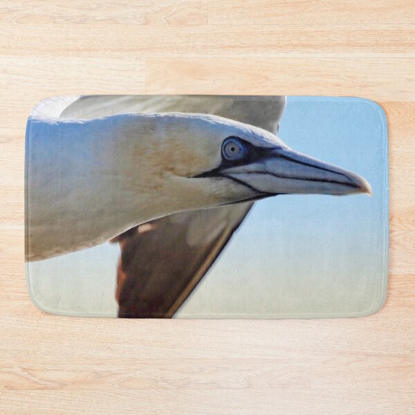 Item preview, A gannet at Cantick Head on Hoy designed and sold by Alan Mackinnon.