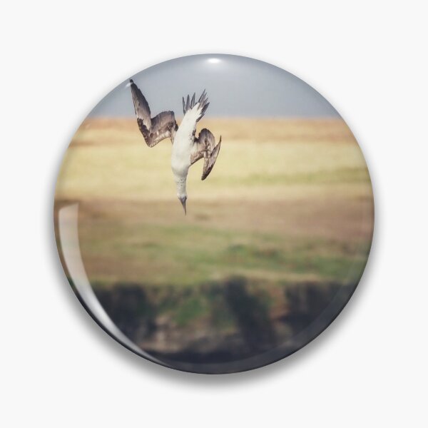 Item preview, A gannet at Cantick Head on Hoy designed and sold by Alan Mackinnon.