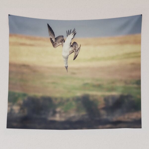 Item preview, A gannet at Cantick Head on Hoy designed and sold by Alan Mackinnon.