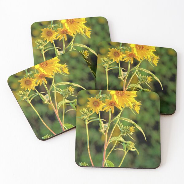 Item preview, Jerusalem Sunflower designed and sold by LynyrdSky.
