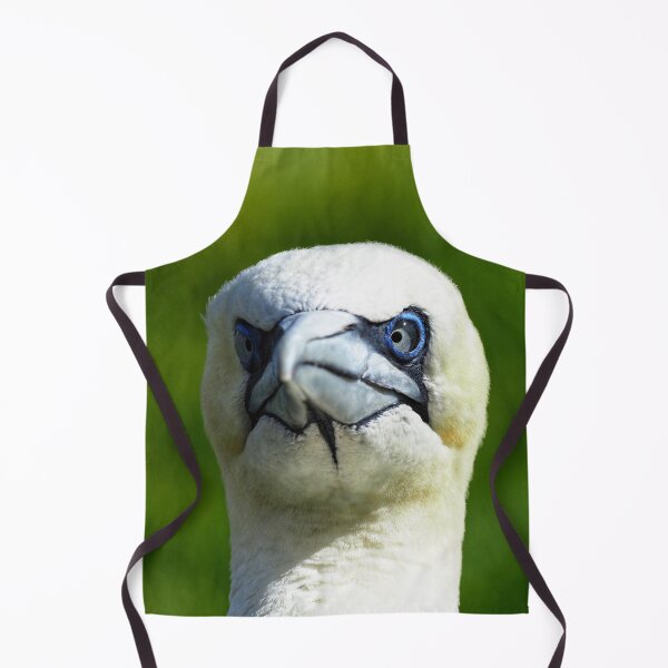 Item preview, A gannet at Cantick Head on Hoy designed and sold by Alan Mackinnon.