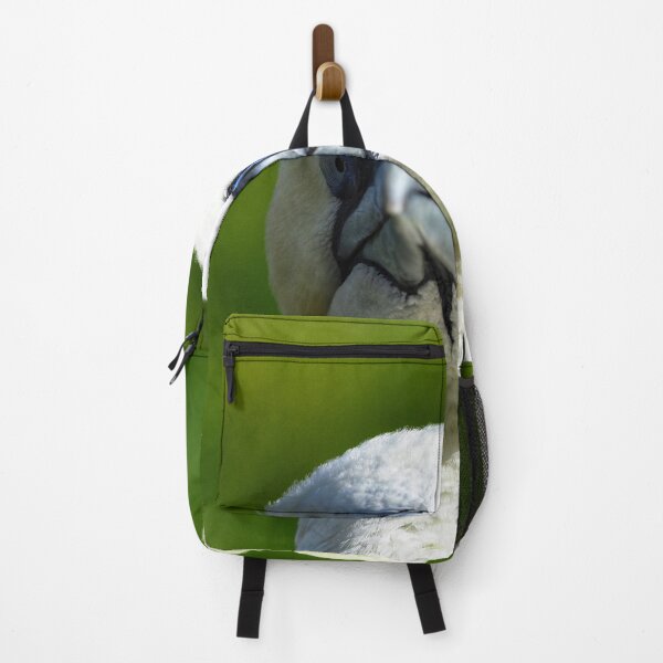 Item preview, A gannet at Cantick Head on Hoy designed and sold by Alan Mackinnon.